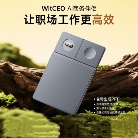 WITCEO智能AI录音笔 - 会议纪要 AI一键生成PPT 分析总结 实时转写翻译